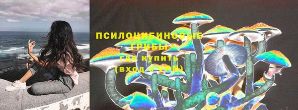 прущая мука Надым