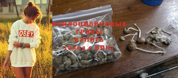 крисы Краснослободск